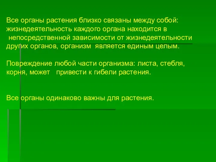 Все органы растения близко связаны между собой: жизнедеятельность каждого органа находится в