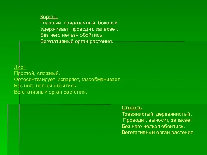 Стебель Травянистый, деревянистый. Проводит, выносит, запасает. Без него нельзя обойтись. Вегетативный орган