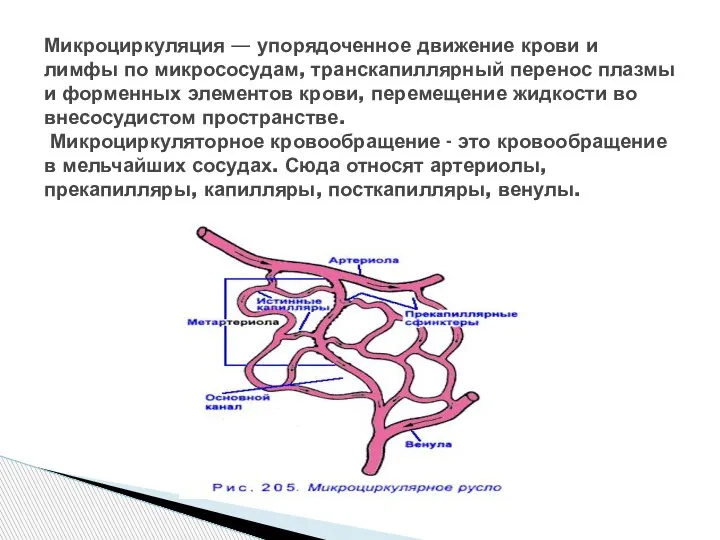 Микроциркуляция — упорядоченное движение крови и лимфы по микрососудам, транскапиллярный перенос плазмы