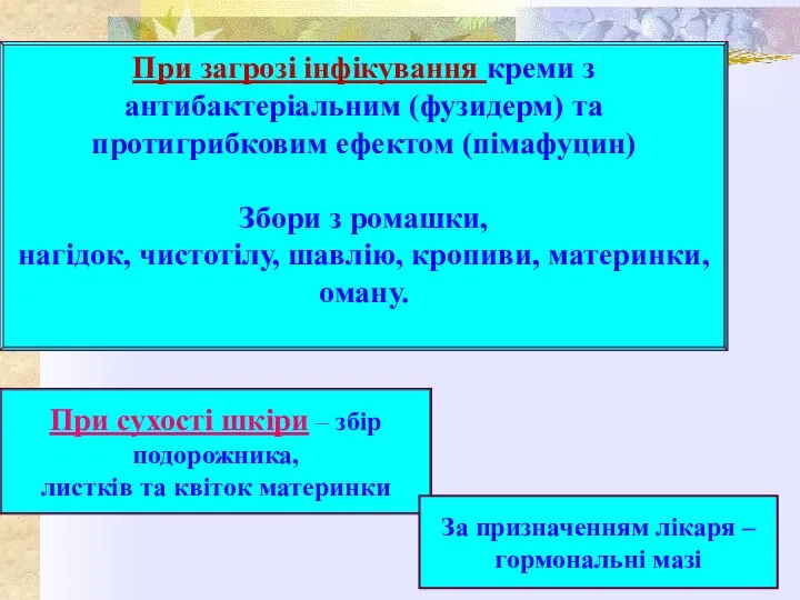 При сухості шкіри – збір подорожника, листків та квіток материнки За призначенням