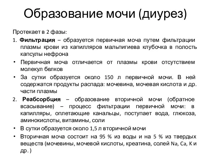 Образование мочи (диурез) Протекает в 2 фазы: 1. Фильтрация – образуется первичная