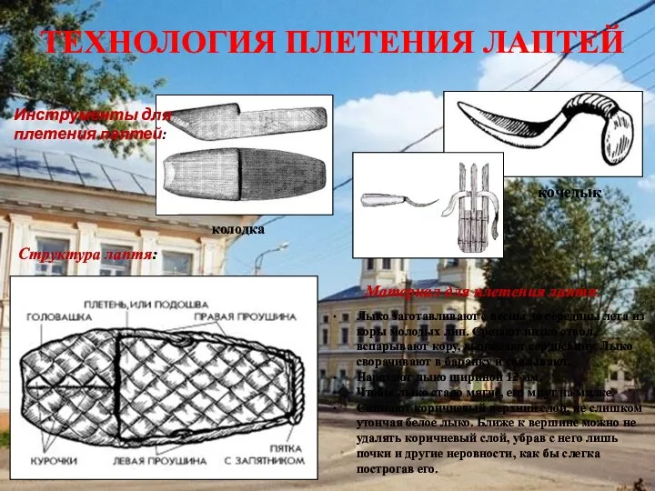 ТЕХНОЛОГИЯ ПЛЕТЕНИЯ ЛАПТЕЙ Инструменты для плетения лаптей: колодка кочедык Структура лаптя: Лыко