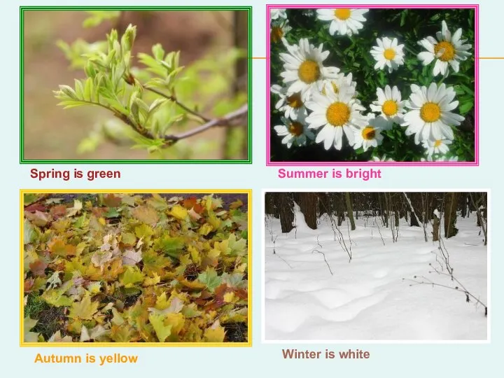 Spring is green Summer is bright Autumn is yellow Winter is white