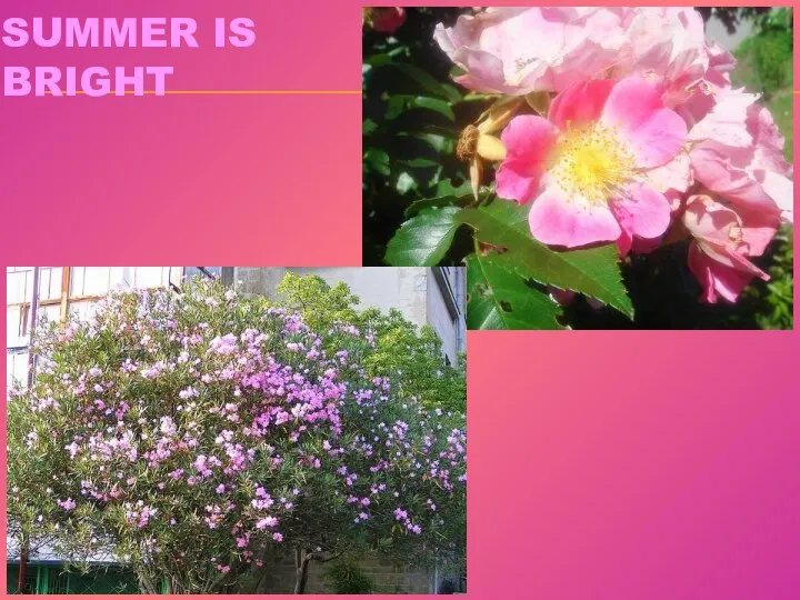 SUMMER IS BRIGHT