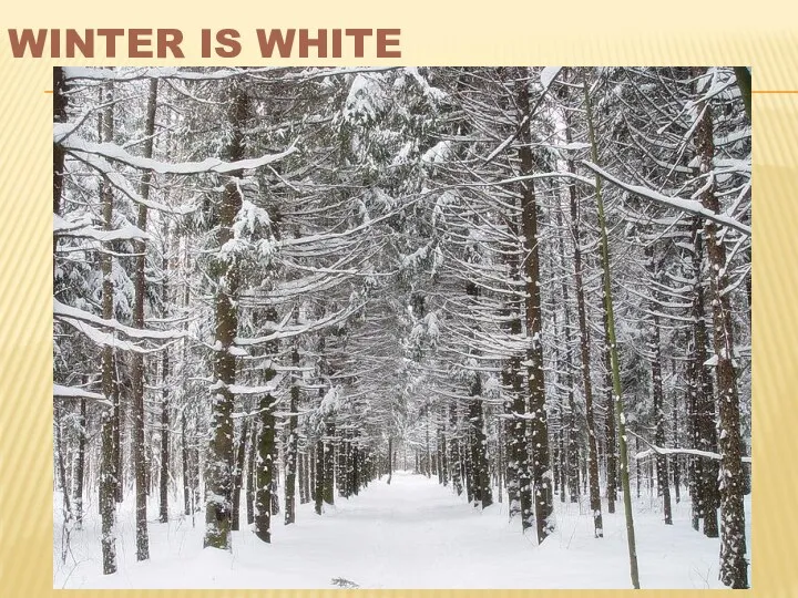 WINTER IS WHITE