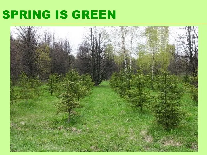 SPRING IS GREEN