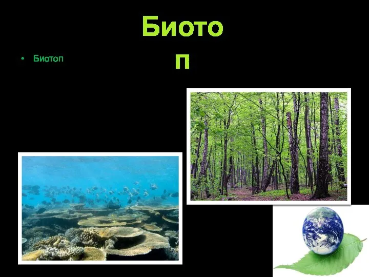 Биотоп – участок земной поверхности (суши или водоема) с однотипными абиотическими условиями