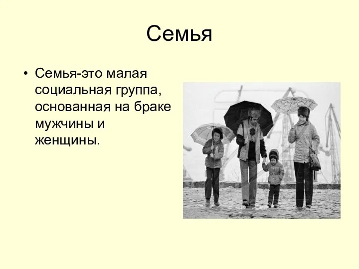 Семья Семья-это малая социальная группа, основанная на браке мужчины и женщины.