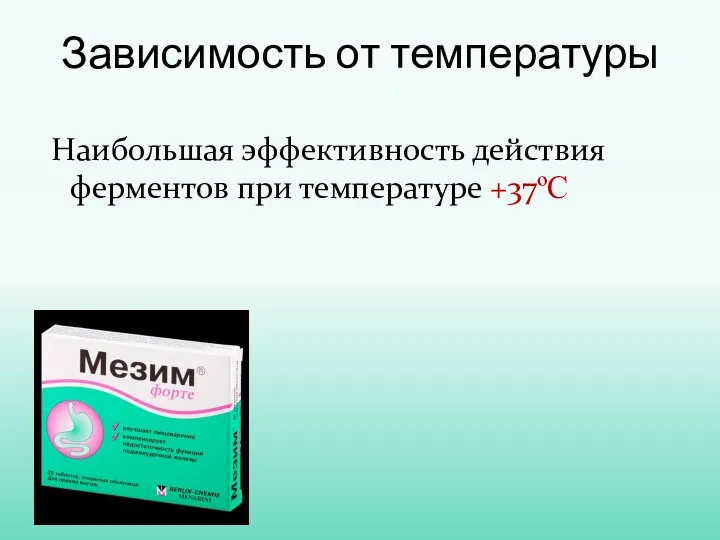 Наибольшая эффективность действия ферментов при температуре +37ºС Зависимость от температуры