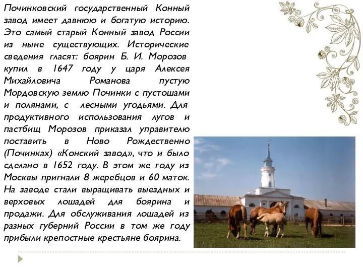 Починковский государственный Конный завод имеет давнюю и богатую историю. Это самый старый