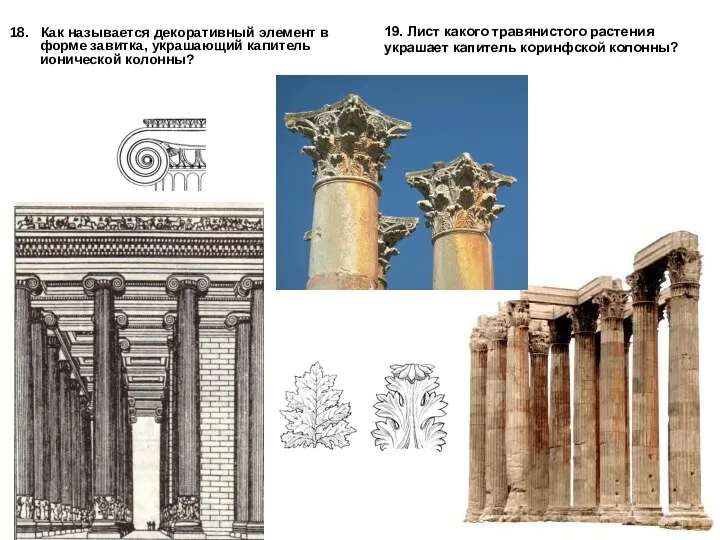 18. Как называется декоративный элемент в форме завитка, украшающий капитель ионической колонны?