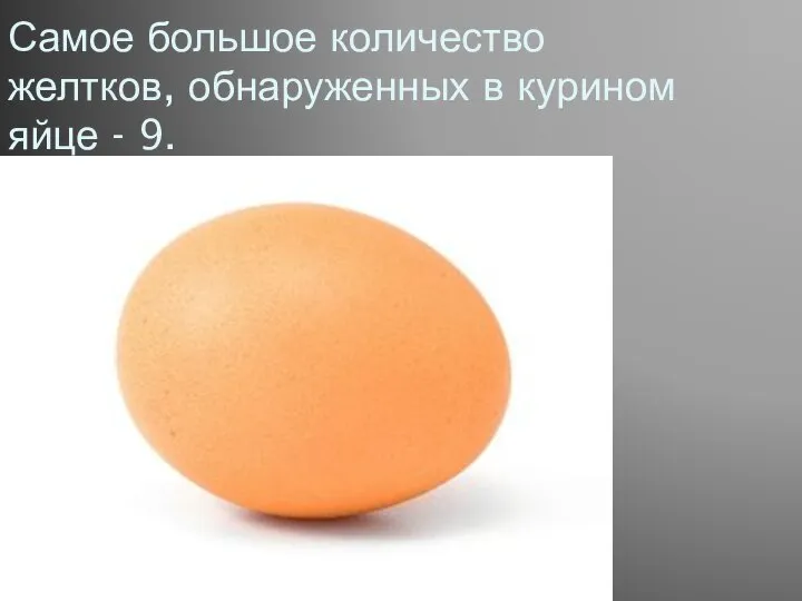 Самое большое количество желтков, обнаруженных в курином яйце - 9.