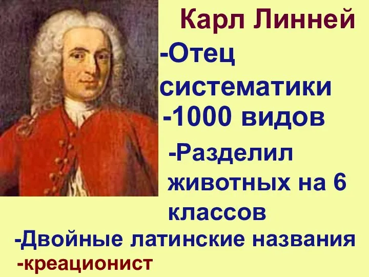 Карл Линней -Отец систематики -1000 видов -Разделил животных на 6 классов -Двойные латинские названия -креационист