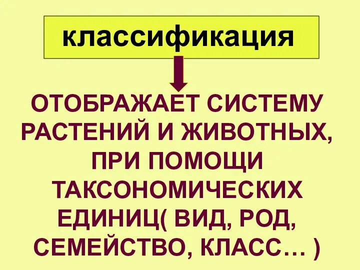 классификация ОТОБРАЖАЕТ СИСТЕМУ РАСТЕНИЙ И ЖИВОТНЫХ, ПРИ ПОМОЩИ ТАКСОНОМИЧЕСКИХ ЕДИНИЦ( ВИД, РОД, СЕМЕЙСТВО, КЛАСС… )