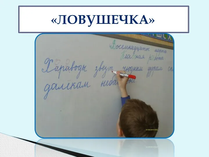 «ЛОВУШЕЧКА»