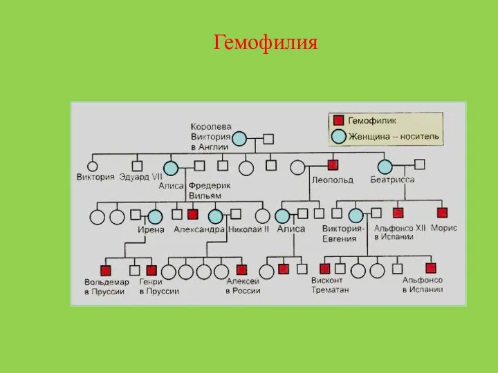 Гемофилия