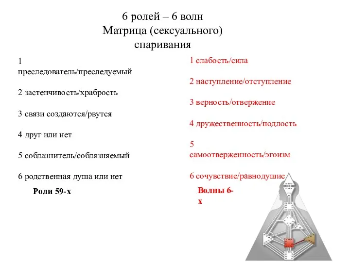 6 ролей – 6 волн Матрица (сексуального) спаривания 1 преследователь/преследуемый 2 застенчивость/храбрость