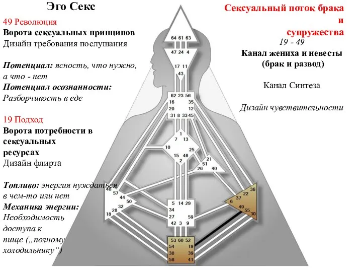 49 Революция Ворота сексуальных принципов Дизайн требования послушания Потенциал: ясность, что нужно,