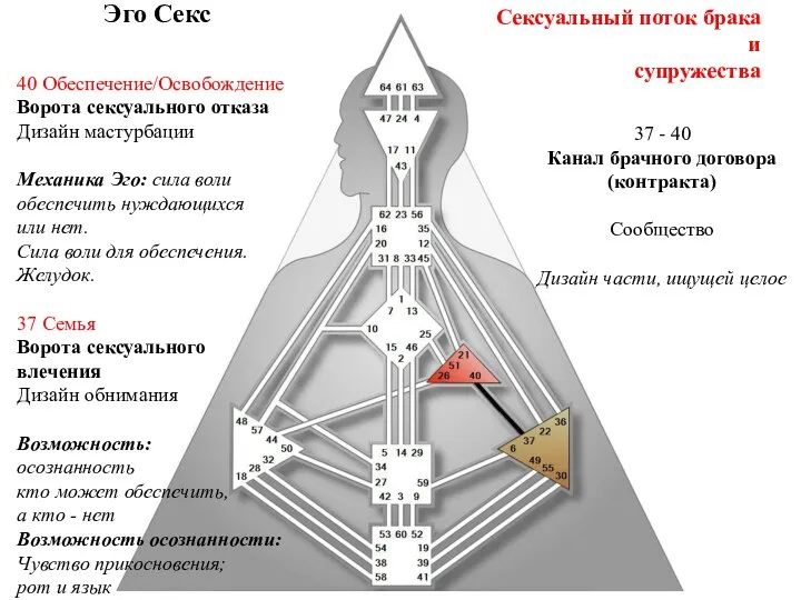 40 Обеспечение/Освобождение Ворота сексуального отказа Дизайн мастурбации Механика Эго: сила воли обеспечить