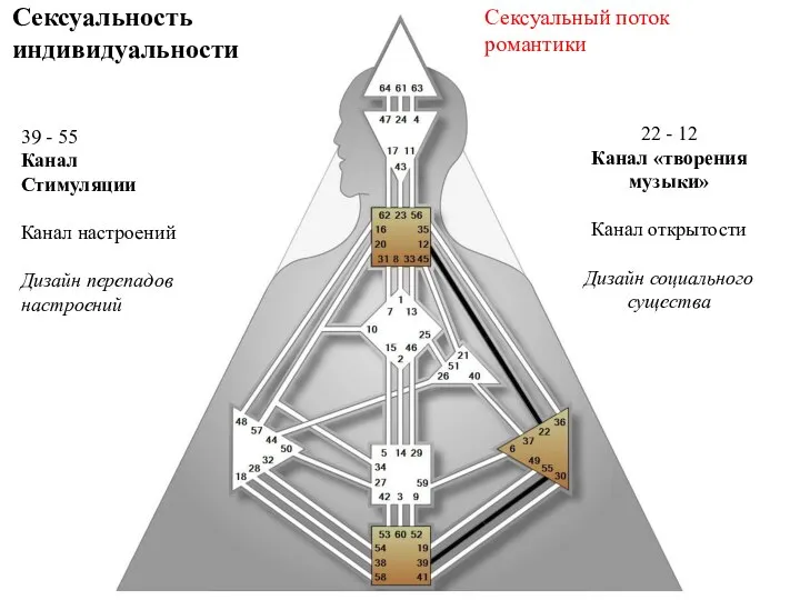 Сексуальность индивидуальности 39 - 55 Канал Стимуляции Канал настроений Дизайн перепадов настроений