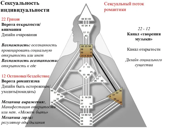 22 Грация Ворота открытости/ внимания Дизайн очарования Возможность: осознанность провоцировать социальную открытость