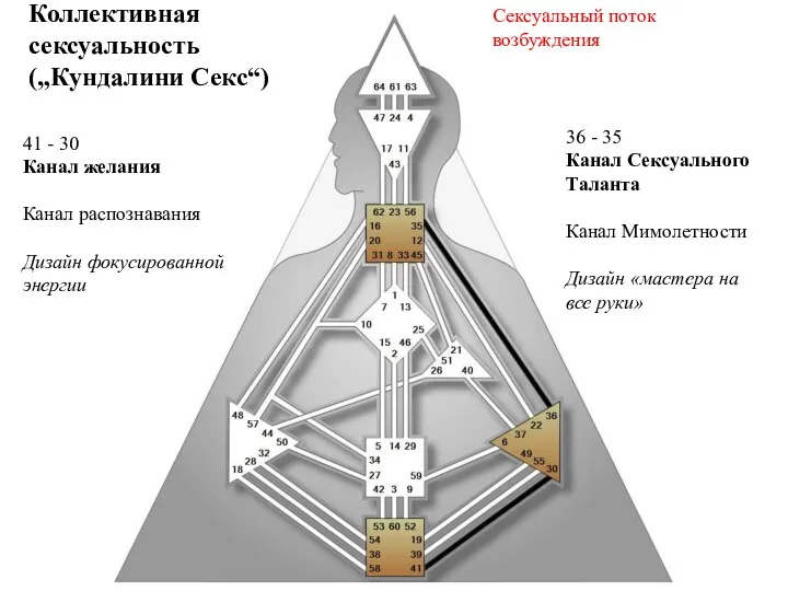 Коллективная сексуальность („Кундалини Секс“) Сексуальный поток возбуждения 41 - 30 Канал желания