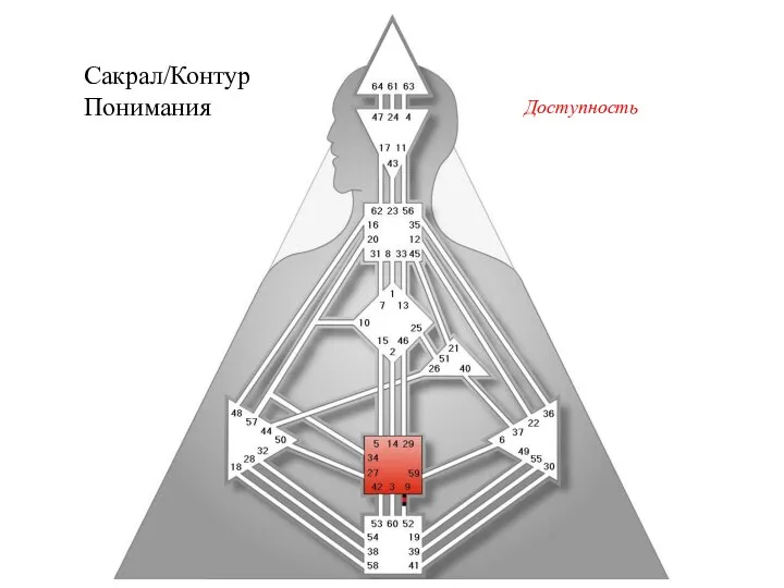 Сакрал/Контур Понимания Доступность