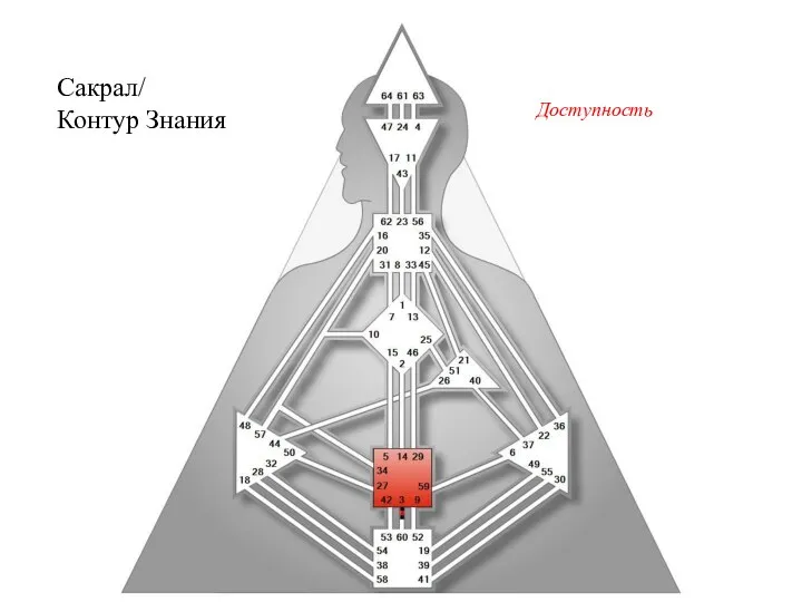 Сакрал/ Контур Знания Доступность