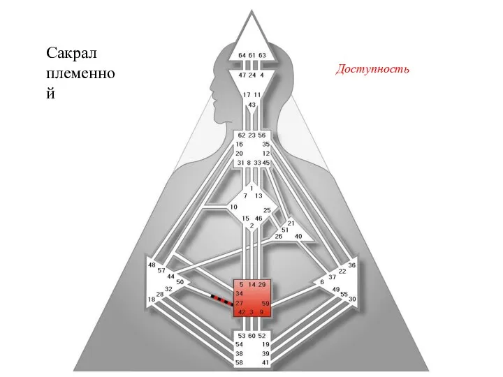 Сакрал племенной Доступность