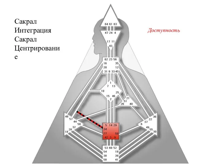 Сакрал Интеграция Сакрал Центрирование Доступность