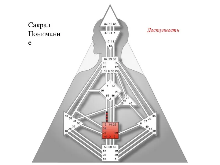 Сакрал Понимание Доступность