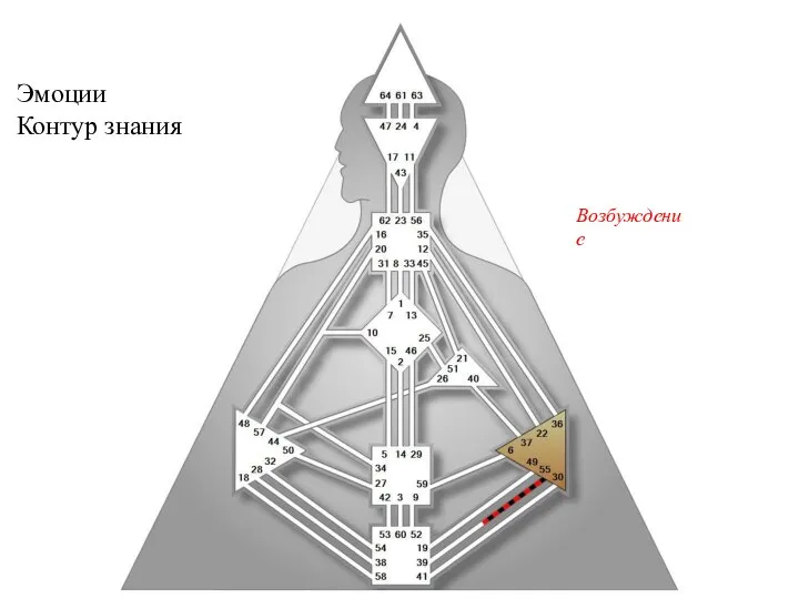 Эмоции Контур знания Возбуждение