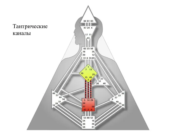 Тантрические каналы
