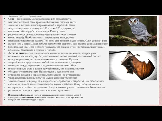 Диагностика МПУ Прочитайте текст. Сова – это хищник, маскирующийся под окружающую местность.