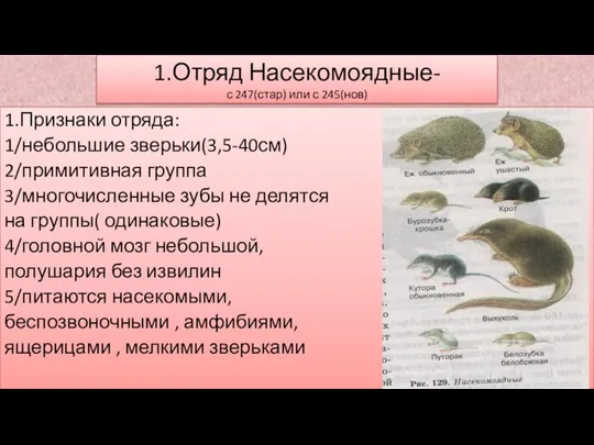 1.Отряд Насекомоядные- с 247(стар) или с 245(нов) 1.Признаки отряда: 1/небольшие зверьки(3,5-40см) 2/примитивная