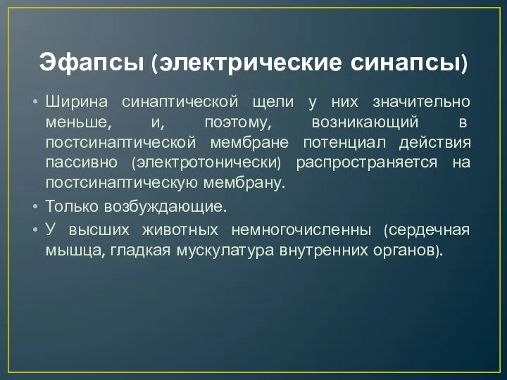 Эфапсы (электрические синапсы) Ширина синаптической щели у них значительно меньше, и, поэтому,