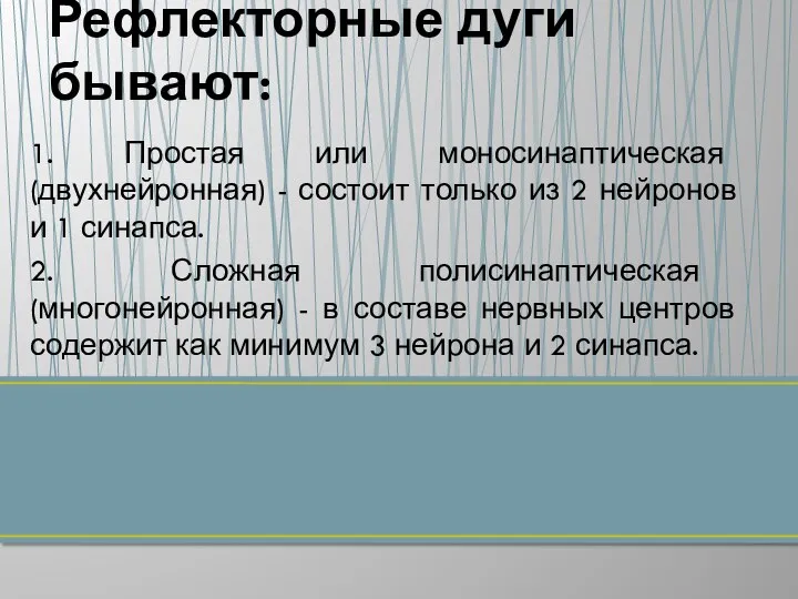 1. Простая или моносинаптическая (двухнейронная) - состоит только из 2 нейронов и