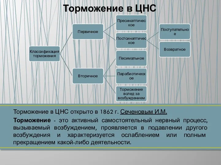 Торможение в ЦНС открыто в 1862 г. Сеченовым И.М. Торможение - это