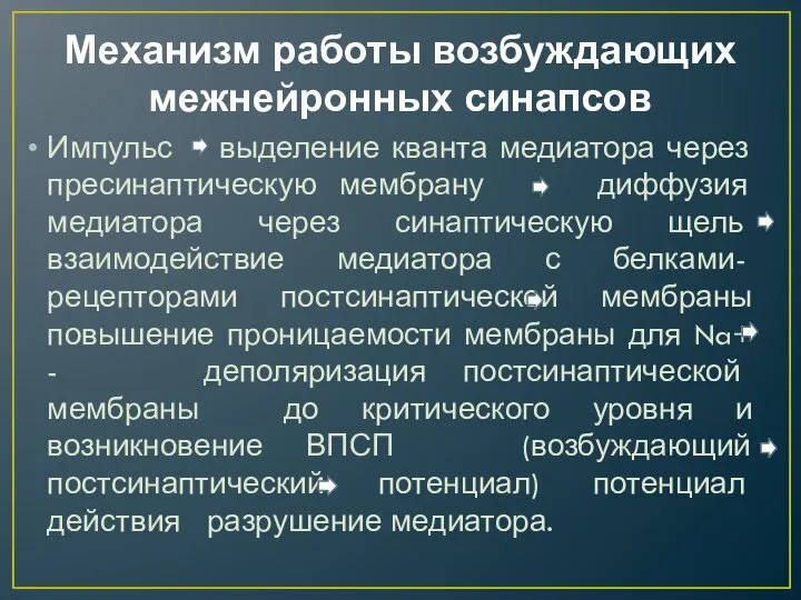 Механизм работы возбуждающих межнейронных синапсов Импульс выделение кванта медиатора через пресинаптическую мембрану