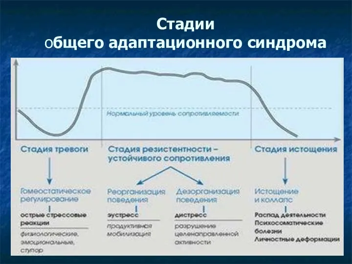 Стадии общего адаптационного синдрома