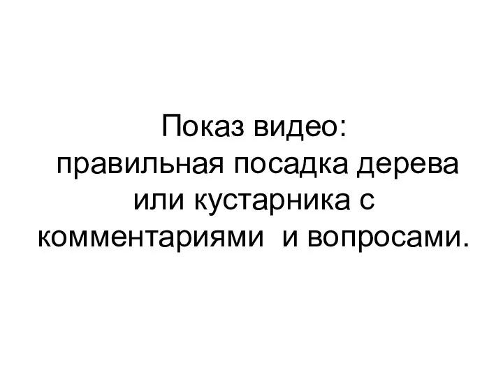 Показ видео: правильная посадка дерева или кустарника с комментариями и вопросами.