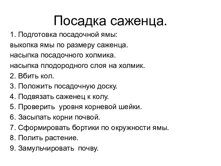 Посадка саженца. 1. Подготовка посадочной ямы: выкопка ямы по размеру саженца. насыпка