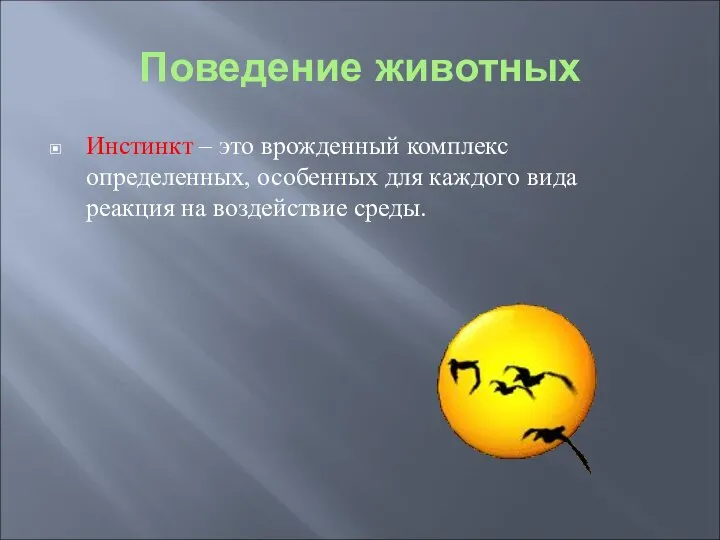 Поведение животных Инстинкт – это врожденный комплекс определенных, особенных для каждого вида реакция на воздействие среды.