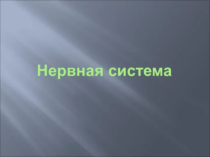 Нервная система