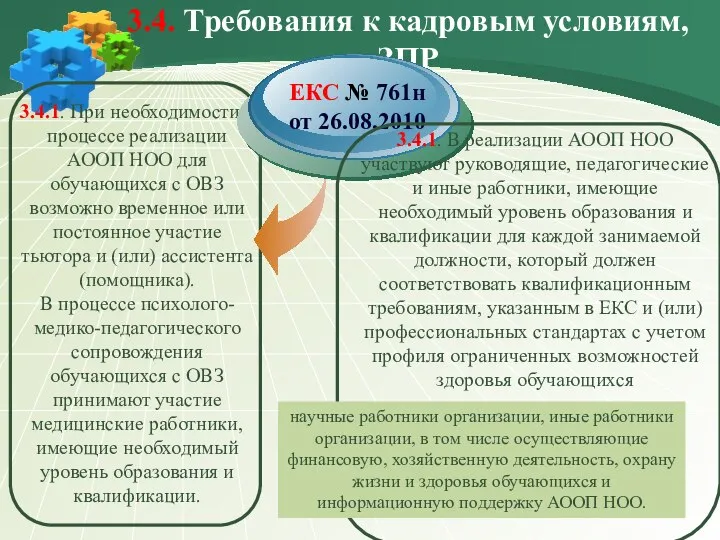 3.4. Требования к кадровым условиям, ЗПР 3.4.1. При необходимости в процессе реализации