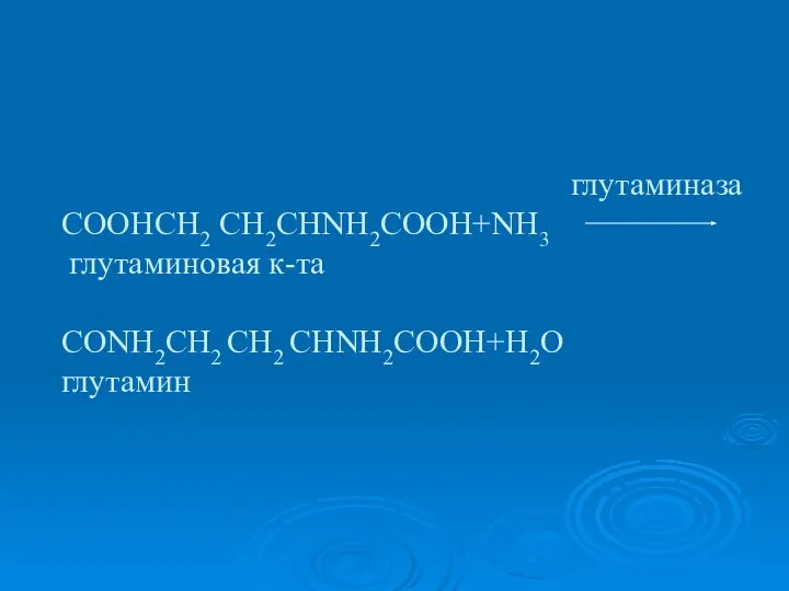 глутаминаза COOHCH2 СН2CHNH2COOH+NH3 глутаминовая к-та CONH2CH2 CH2 CHNH2COOH+H2O глутамин