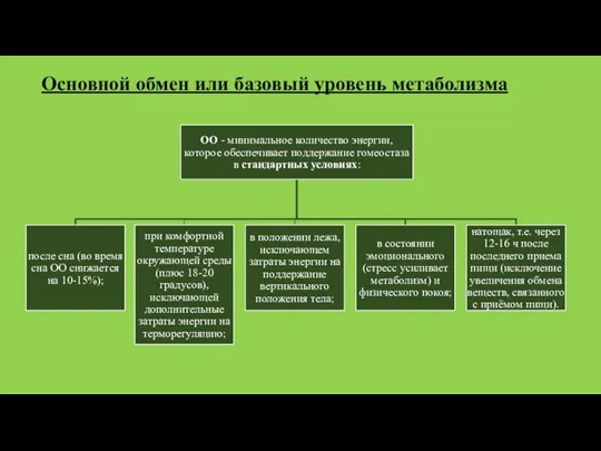 Основной обмен или базовый уровень метаболизма