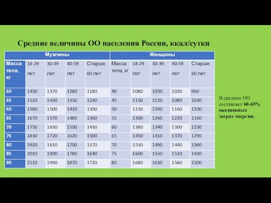 Средние величины ОО населения России, ккал/сутки В среднем ОО составляет 60-65% ежедневных затрат энергии.