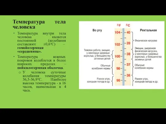 Температура тела человека Температура внутри тела человека является постоянной (колебания составляют ±0,6оС)