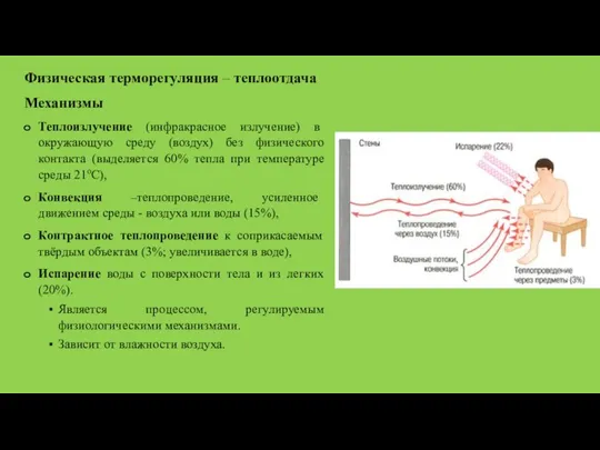 Физическая терморегуляция – теплоотдача Механизмы Теплоизлучение (инфракрасное излучение) в окружающую среду (воздух)